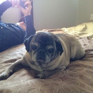 Meet your Posher, Nathan